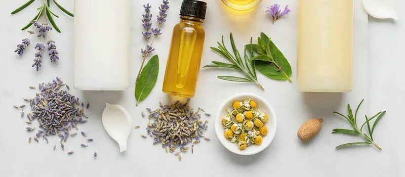 Bio kosmetyki: Twój przewodnik po naturalnej pielęgnacji